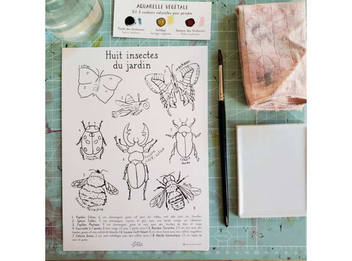Affichette - Huit insectes du jardin à peindre