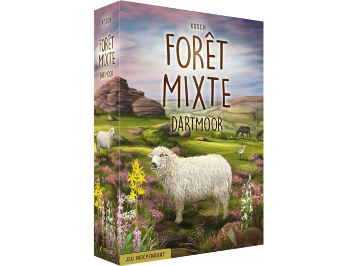 Forêt Mixte : Dartmoor