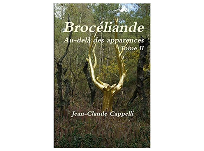 Brocéliande Au-delà des apparences Tome II