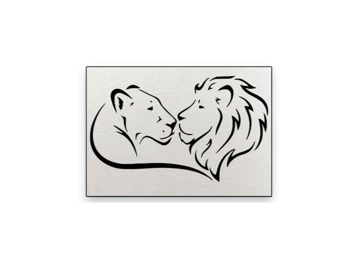 Lion et Lionne