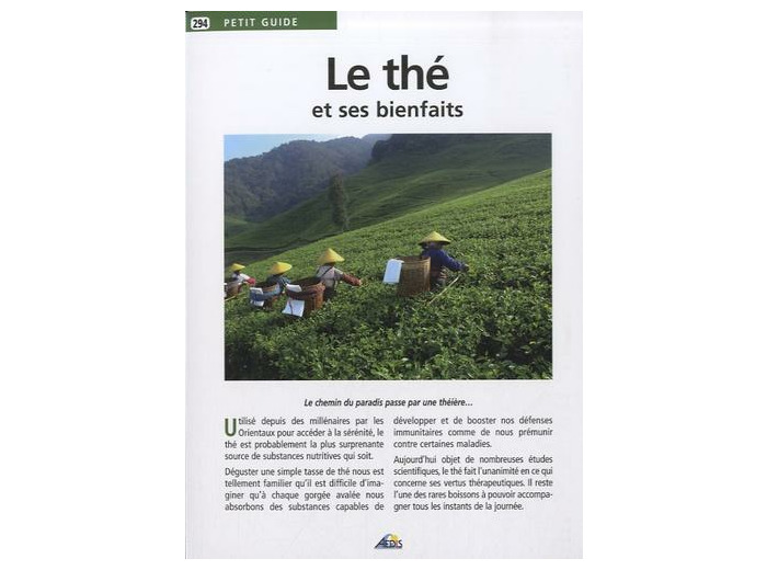 Le thé et ses bienfaits