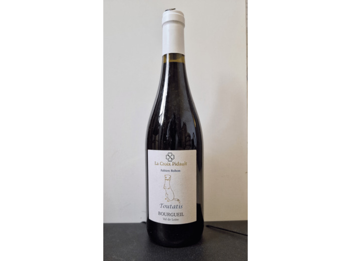 Toutatis 2021, la Croix Pidault , vin de Bourgueil