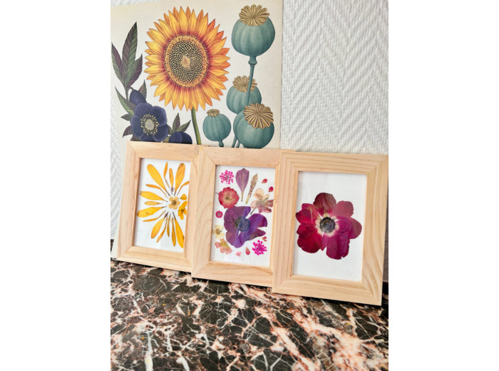 Petit herbier fleuri