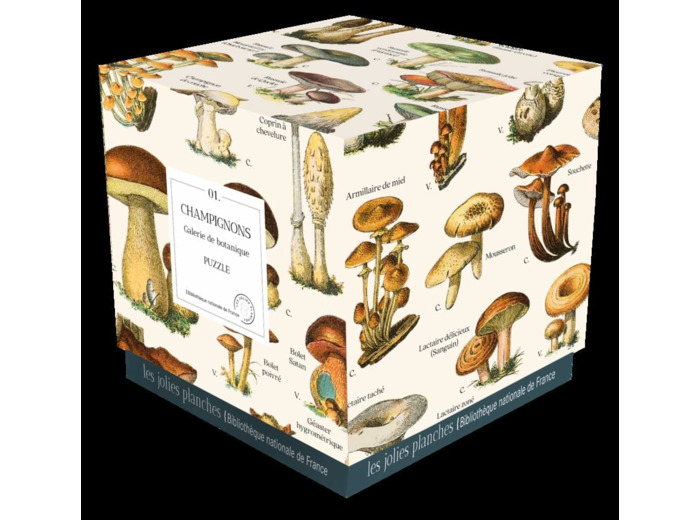 PUZZLE CHAMPIGNONS 1000 PIECES