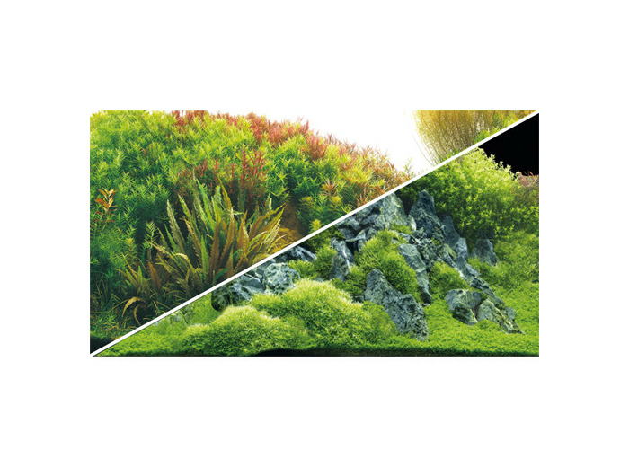 Poster PLANTED RIVER/GREEN ROCKS - 100 x50 cm