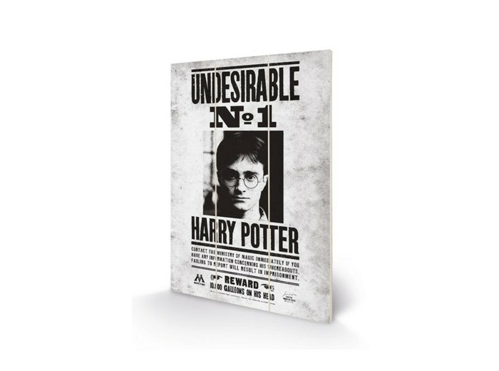 Impression sur bois Undesirable N°1 Harry Potter