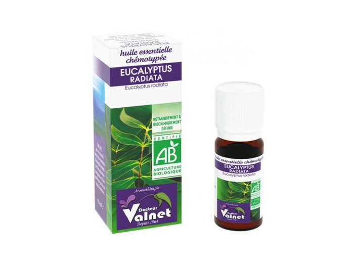 Eucalyptus Radiata ou Radie bio-10ml-Dr.Valnet