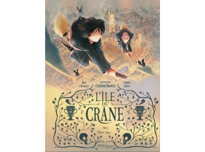 L'ILE DU CRANE - TOME 2 MAUDIT GRAAL - VOL02