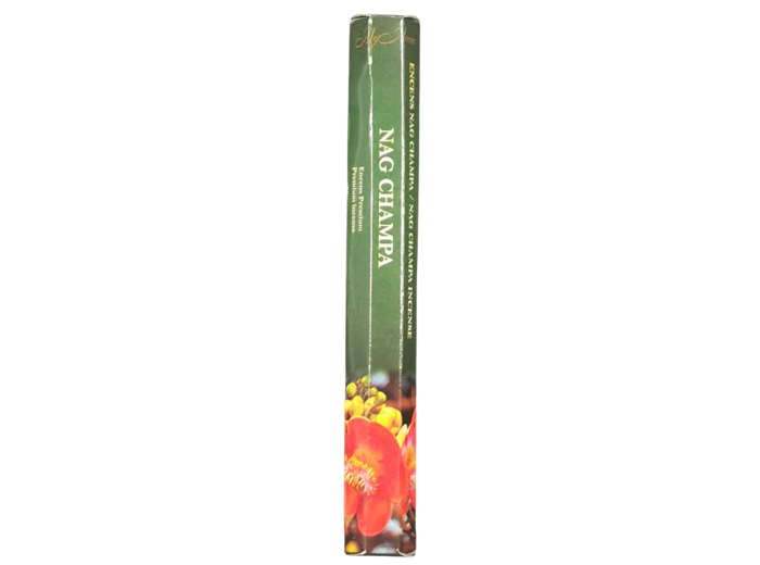 1 étui Hexagonalde 20 bâtons d'Encens - NAG CHAMPA