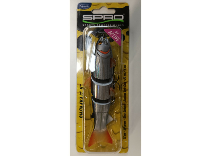 BBZ 50 silent roach spro