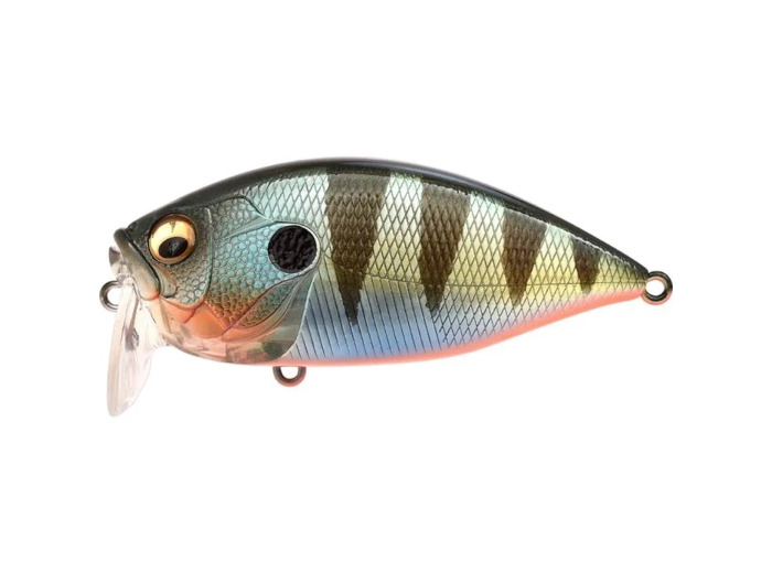 over rev crank red fin perch