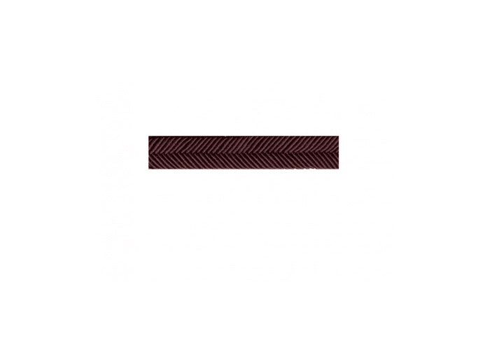 Double passepoil chevron 9mm au mètre col 98 517 prune