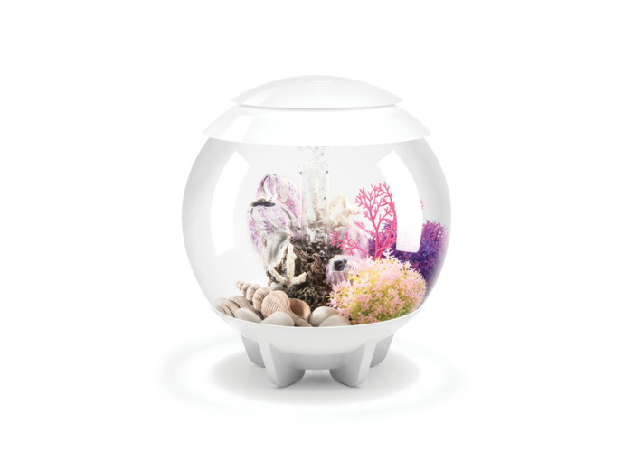 Aquarium BiOrb Halo 15 MCR, blanc - 30 x 33 cm