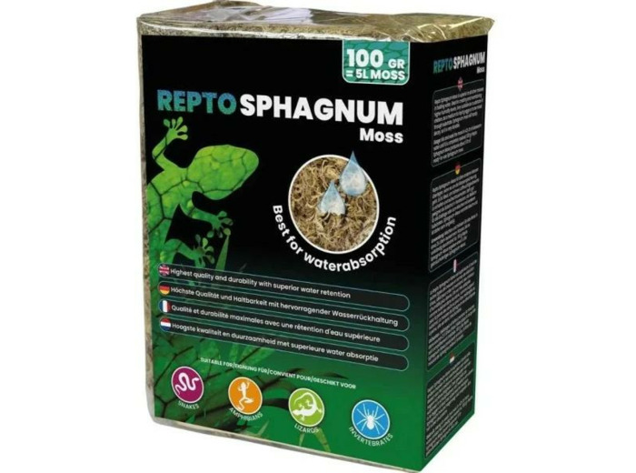 REPTO Mousse de Sphaigne - 100g