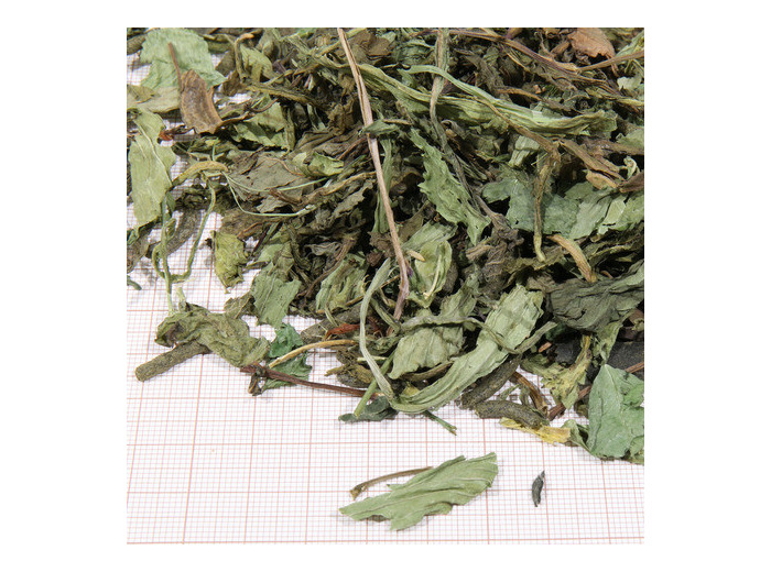 JBL PROTERRA Herbil - 1000ml