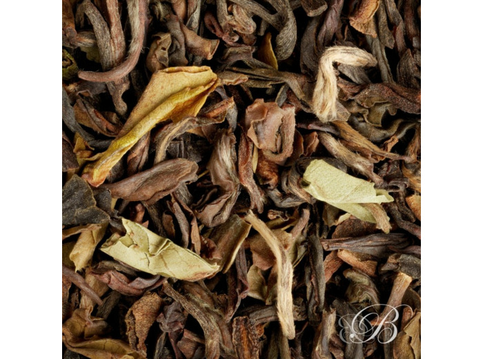 Darjeeling Bloomfield G.F.O.P