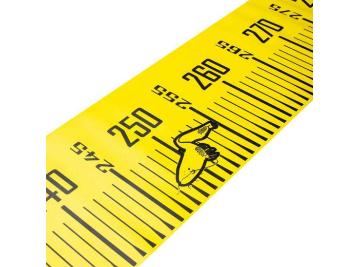 cat mesure black cat