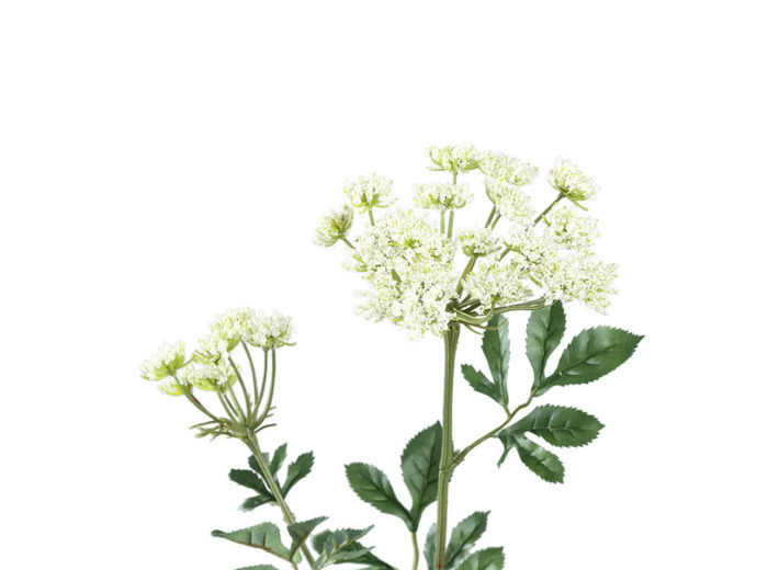 Fleur Artificielle Ammi Blanche en Polyester Haute Tige 74cm