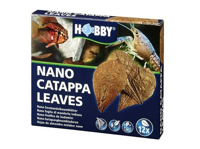 Nano Catappa + feuille de bananier - 12 pièces