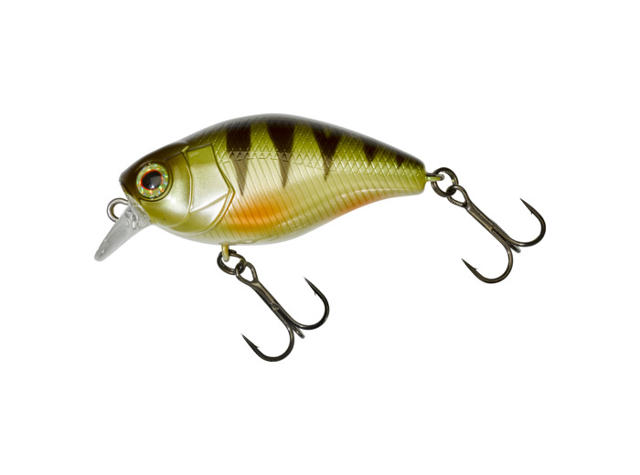 magnum chubby 50 perch illex