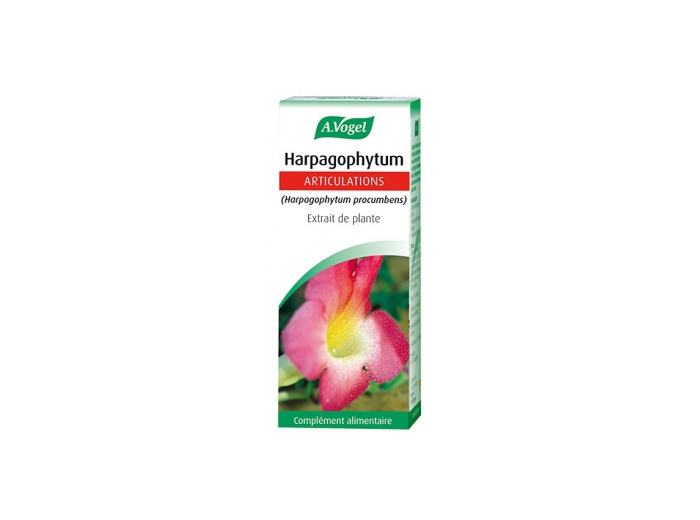 Harpagophytum Flacon compte gouttes 50ml