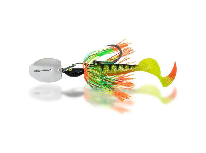 cat chatter black cat