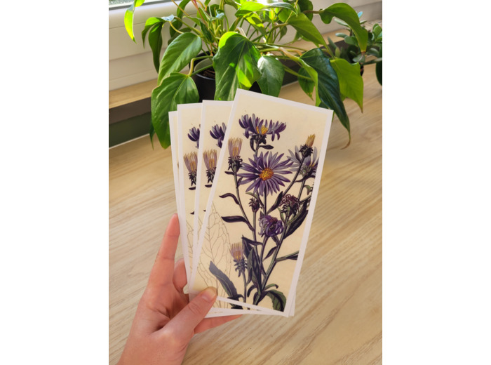 Carte fleur de naissance - Septembre