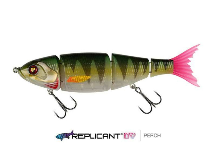 swims perch fox rage