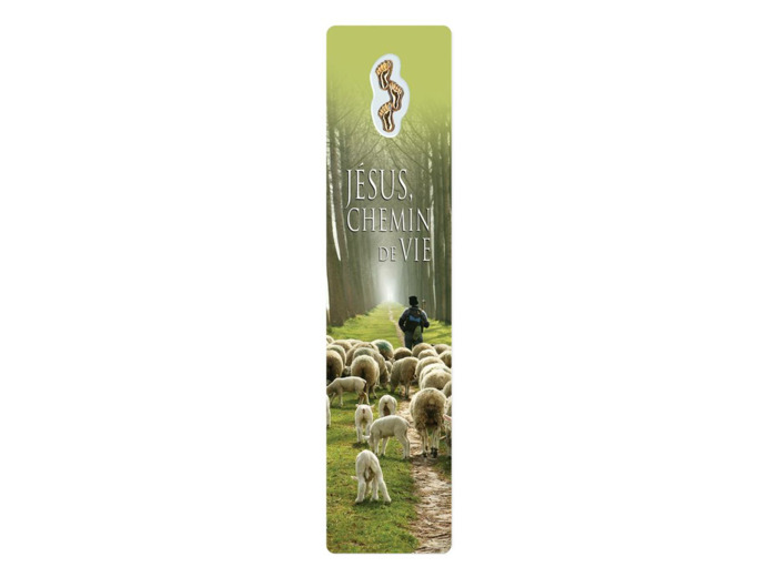 Signet plastifié avec médaille sous sachet-JESUS CHEM. DE VIE-anglais