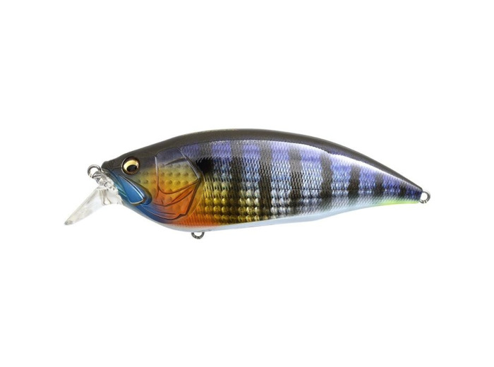 big M 2.0 GG wild gil BM