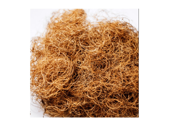 Crin Célancrin elancrin coco 2kg cardé CRINCEL2KG