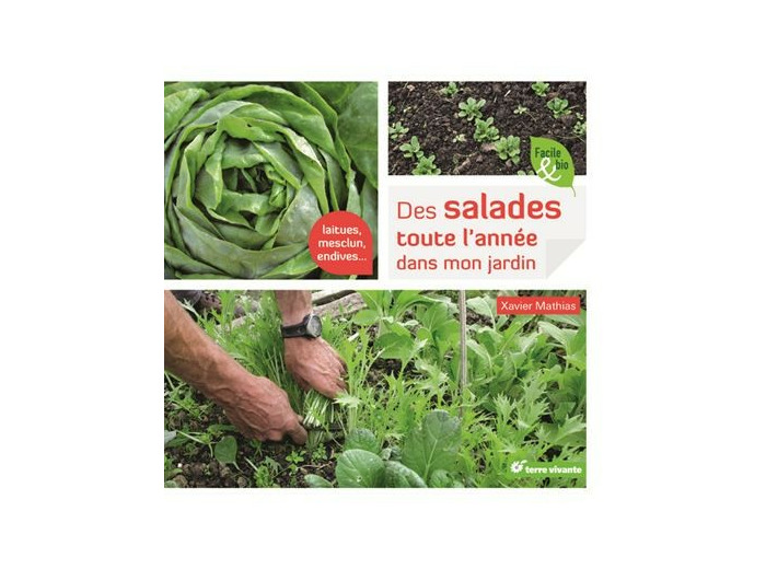 Des salades toute l'année dans mon jardin