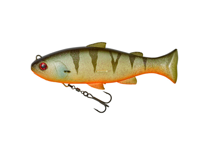 vividus agressive perch illex