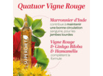 QUATUOR CIRCULATION AMPOULE 20X15ML SUPER DIET