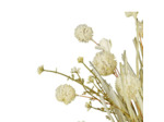 Bouquet Artificiel Champêtre Beige Naturel 56cm