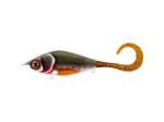 guppie 13.5cm CWC
