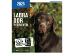 Calendrier chien 2025 - Labrador - Martin