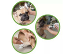 Lingettes humides biodégradables pour chien et chat