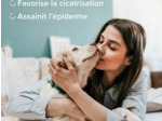 DERMACARE Crème réparatrice pour chien et chat 100ml
