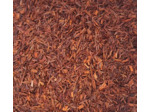 Rooibos nature-100g-Archetype Tea