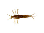 LB 3D PVC mayfly nymph 5cm