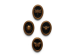 Ensemble 4 cadres insectes Entomologie 13x17cm