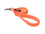 Laisse TREK STAR, Orange pour chiens - 120cm x 1,5cm