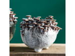 Vase céramique aux Champignons 20x20x17cm