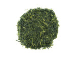 Sencha REN
