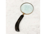 Loupe manche corne foncée 26x10cm