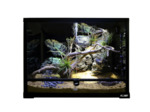 Terrarium "Fix & Easy 60" - 60 x 45 x 45 cm