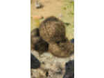 Pelote FLOCON (80% Kid mohair 20% soie) - Moka