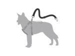Ceinture de sécurité pour chien en voiture