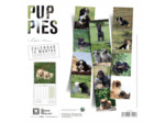 Calendrier chien 2025 - Chiots - Martin